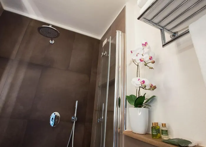 酒店 萨伏依酒店 3*